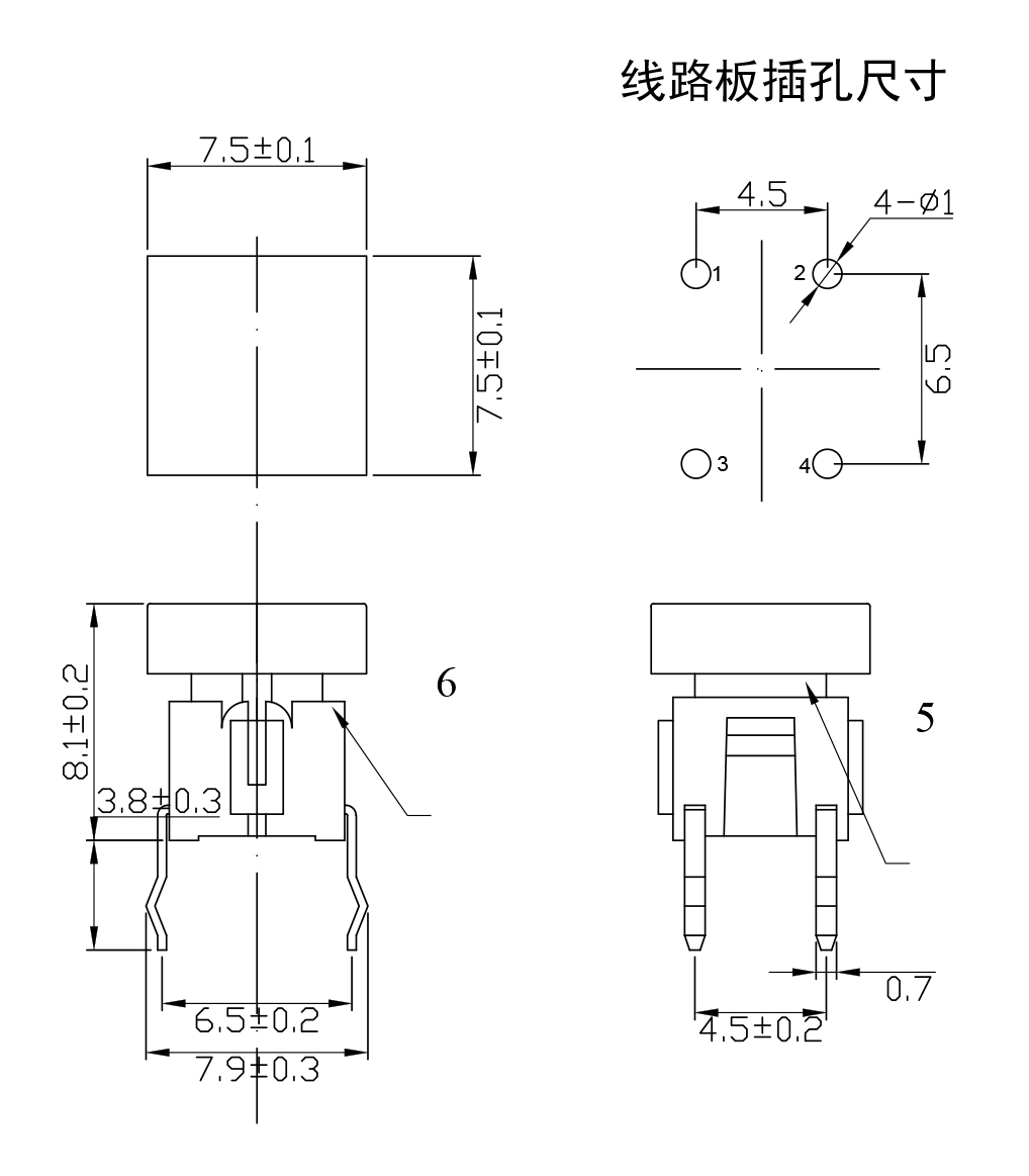 TP-32.jpg